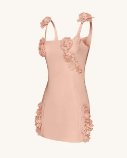 Elaina Pink Rosette Applique Mini Dress - Apricot